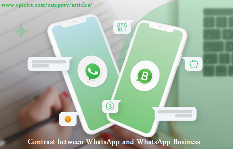 Contrast between WhatsApp and WhatsApp Business